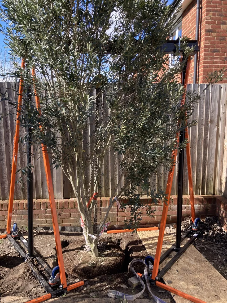 a frame steel gantry being used to lift up a tree